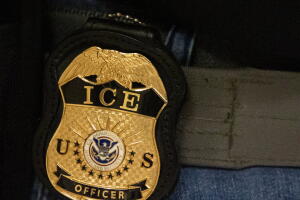 Immigration Agent Struck