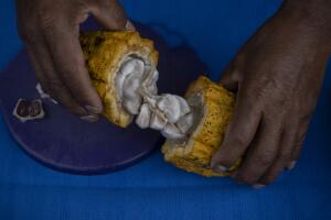 chocolate,oaxacanita,handicraft,traditions,indigenous