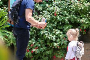 Jeremy Renner y su hijita Ava