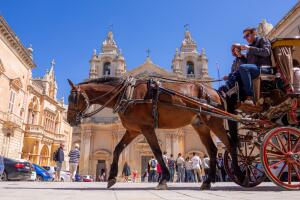 Tourists traveling in Mdina village by horse carriage