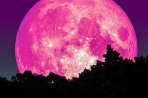 super_luna_rosa_donde_verla_que_es_2.jpg