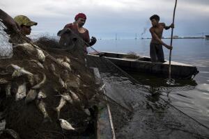 Venezuela Fishing In Oil