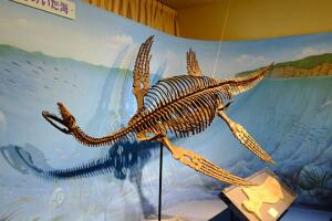 Esqueleto de plesiosaurus