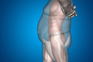 simulación obesidad ser humano