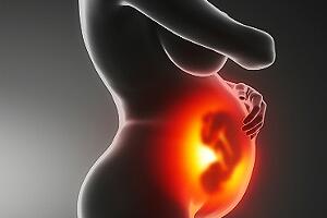 mamas-genitais-inchados-bebe.jpg