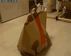 gato-sacola-mc.gif