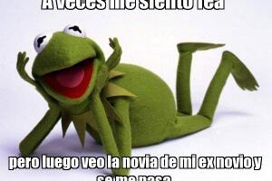rana_rene_a_veces_fea.jpg