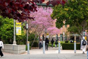 Autoridades buscan a sospechoso de violación en campus UC Irvine