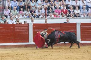 corrida-de-toros5.jpg