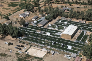 Screen Shot 2021-05-21 at 12.19.24 PM.png