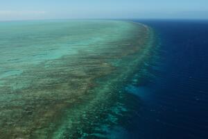 Great Barrier Reef Threatened With Extinction "Within 20 Years"