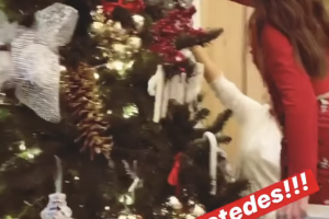 Imagen de iOS (89).png