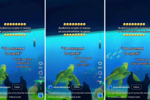 Turtule Talk with Crush IG (2).png