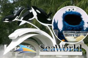 La demanda busca terminar la relación comercial de más de 45 años entre la productora del programa y la empresa de parques.