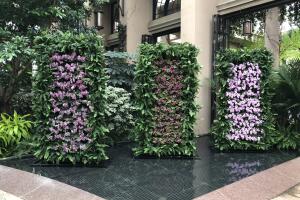 Orquídeas Longwood Gardens 