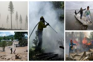 BeFunky-collage (13) (1).jpg