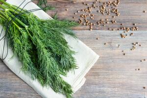 endro-dill-semente-0717-1400x800.jpg