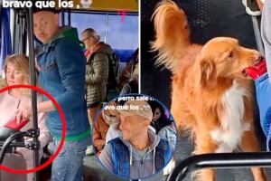 Perrito recupera la cartera que le robaron a su dueña en el transporte público