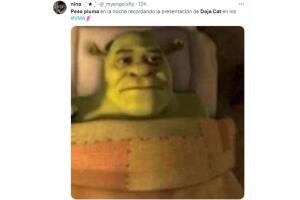 shrek_peso_pluma.jpg