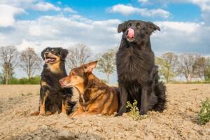 thinkstockphotos-479304104.jpg
