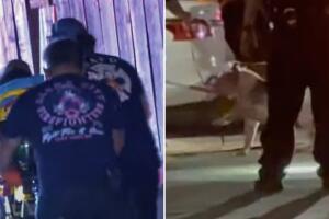 muere mujer atacada por su perro en San Antonio