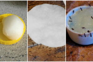 receita-caseira-formigas-principal1.jpg
