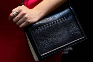 como-limpar-bolsas-2.jpg