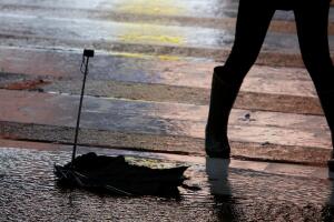 El fenómeno es tan masivo