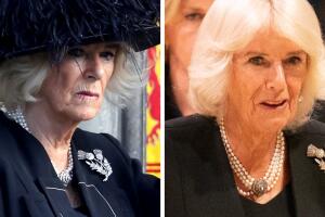 Camilla Parker prendedor 