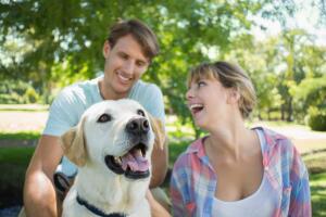 animal-lovers_2.jpg