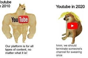 kabosu_meme_dog (3).jpg