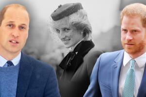 príncipes William y Harry reencuentro Lady Diana