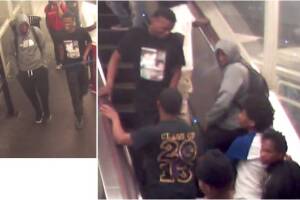 Sospechosos de intento de robo en Lake Shore Drive