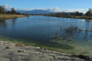 Lakeside View in Prado Regional Park, Chino, California