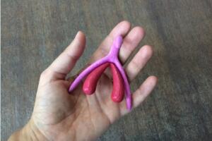 Clitoris 3D