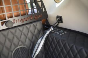 mascotas en el carro