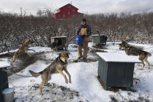 US-ALASKA-ENVIRONMENT-CLIMATE
