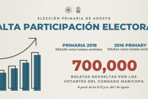 Alta participación electoral