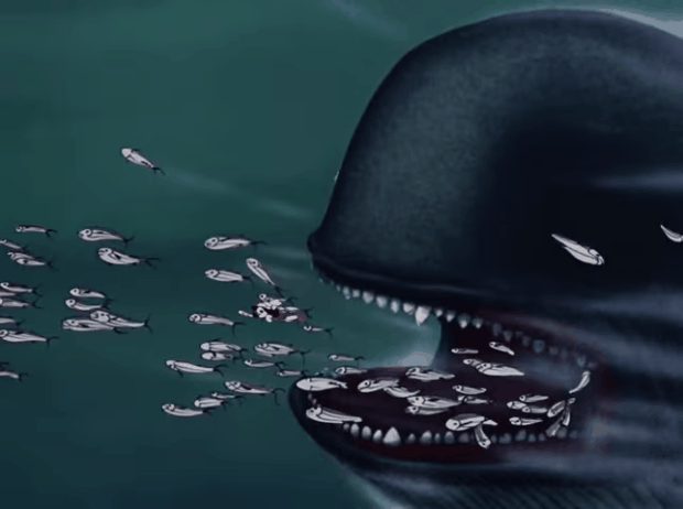 ballena de pinocho disney