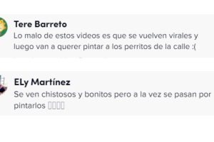 perros_cejas_opiniones_tiktok