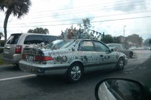 Cosas insólitas que solo se ven en Florida