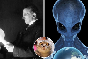 collage_nikola_tesla_alien_theory.png