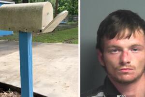 Roba cheque collage.jpg