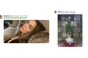 El cactus se habría convertido en la planta favorita de Belinda, misma por la que Nodal tendría favoritismo.