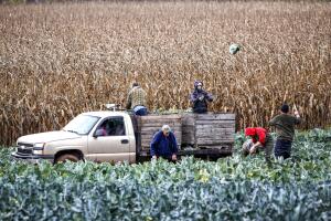 US Farm Worker Overtime