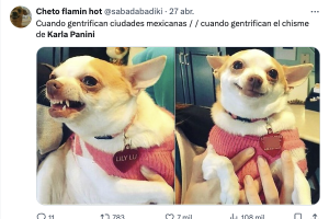 Memes reviven la historia de Karla Panini y Karla Luna
