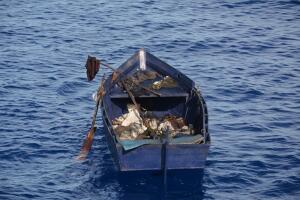 cubanosbalsa/1000w_q95 (1).jpg