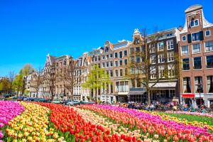 paisaje-amsterdam-tulipanes.jpg