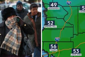 frio tampa.jpg