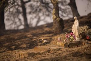 Incendios en el norte de California (octubre 2017)